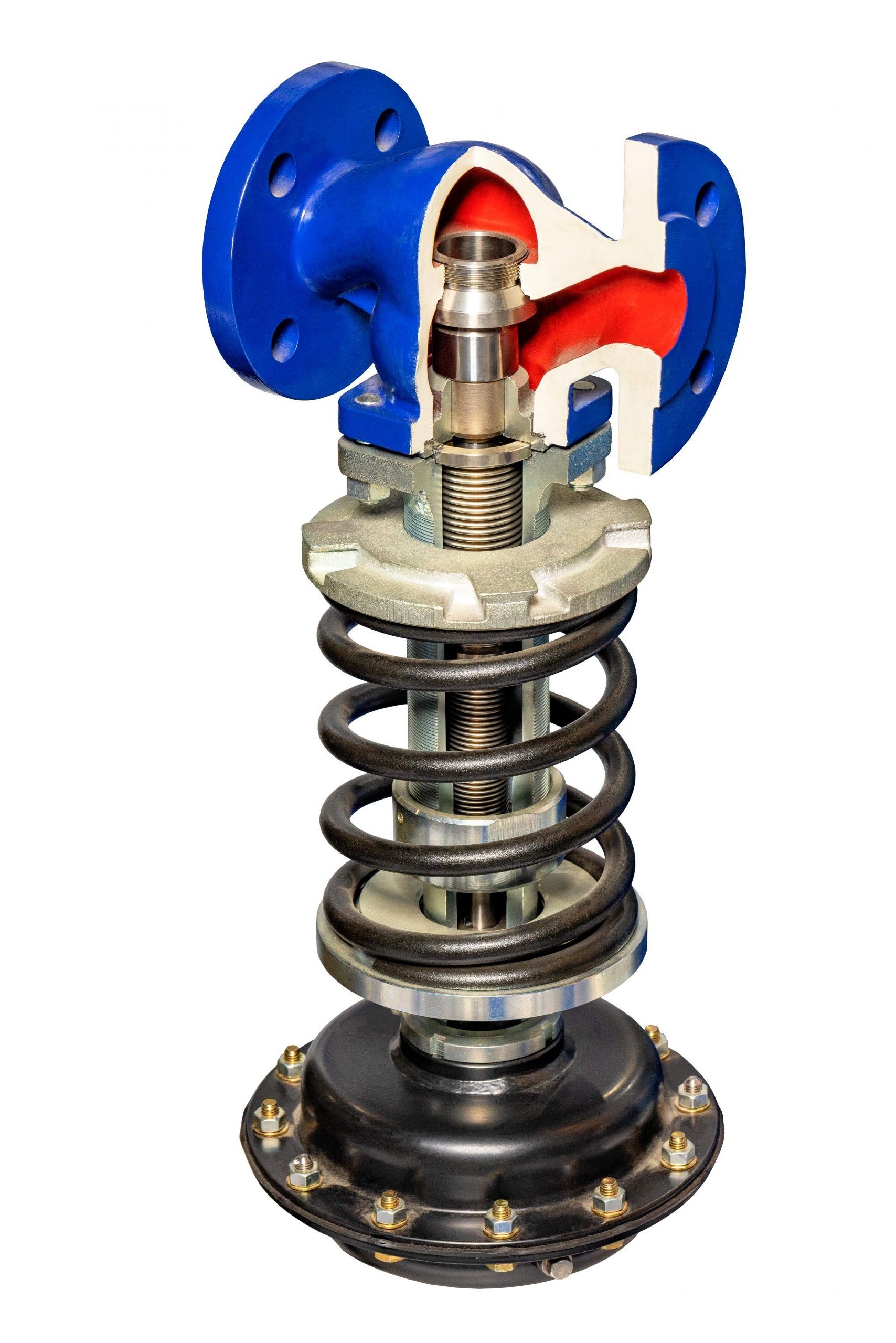 Valve Springs